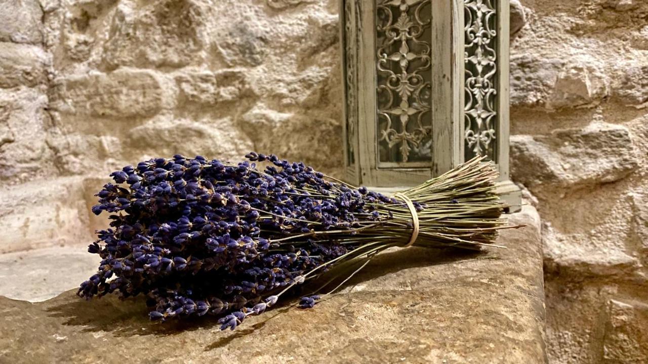 La Marisol Villa LʼIsle-sur-la-Sorgue Dış mekan fotoğraf
